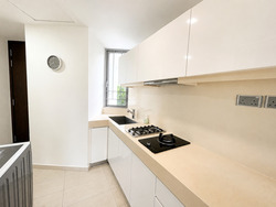 Madison Residences (D10), Condominium #574733471